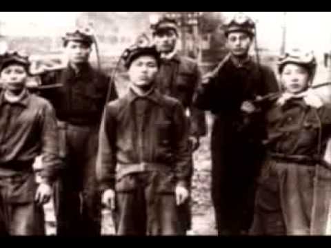 Видео: Остров у Черной реки