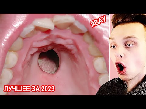 Видео: 1 час Попробуй не сказать ВАУ! | РЕАКЦИЯ на РАССЛАБЛЯЮЩЕЕ ВИДЕО (для сна)