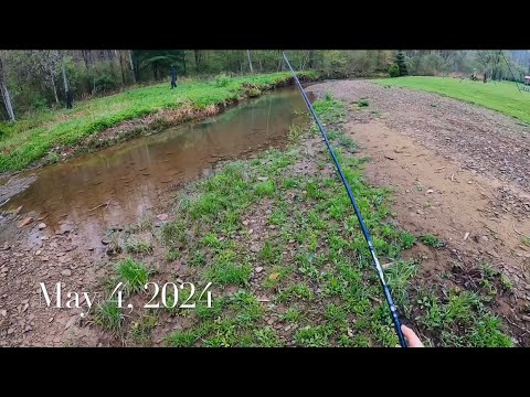 Видео: Ловля крупной дикой форели на спиннинг в день открытия сезона ловли индейки в Пенсильвании #mepps...