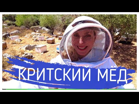 Видео: Критский МЁД - мечта Винни-Пуха! #Алёна Фортунаки🇬🇷Крит-Гид