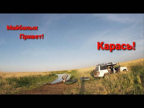 Видео: Рыбалка / В Казахстане / Майбалык!