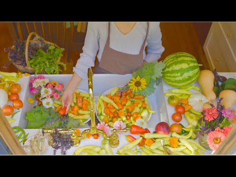 Видео: От пустыря до огорода 🧺7 дней консервации овощей кулинарный дневник🐓 Бродячие куры