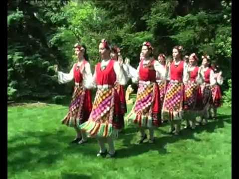 Видео: Добруджански   данец