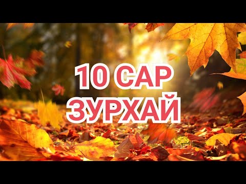 Видео: 10 сарын зурхай (2024) [Астрологи]