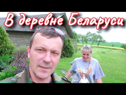 Видео: Тёща,  Заботливый Муж, жизнь без спешки