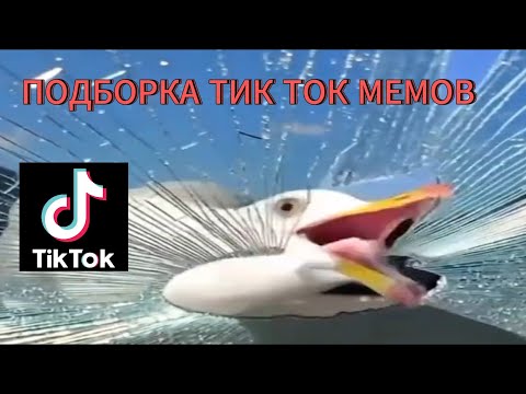 Видео: 🎉 ПОДБОРКА ТОПОВЫХ МЕМОВ ТИК ТОК | Мемы #22