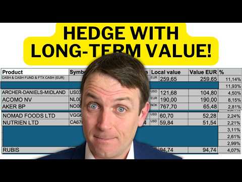 Видео: Моя стратегия диверсифицированного портфеля (хеджирование стоимости + 6 акций, которыми я владею)