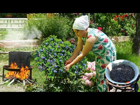Видео: Сбор черники в деревне | Рецепт традиционной азербайджанской еды с тестом и фасолью
