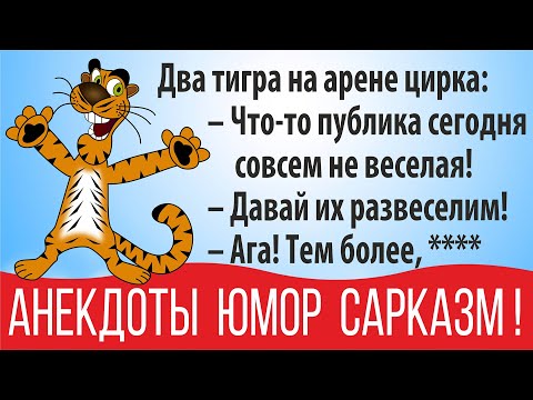 Видео: Самые смешные анекдоты. Сарказм. Юмор в картинках 2022 под веселую музыку