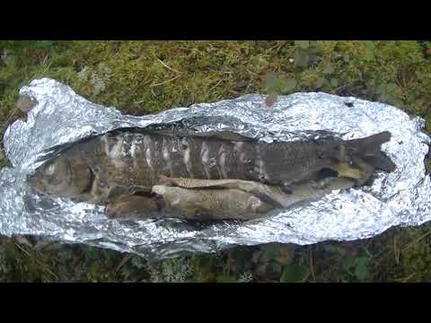 Видео: Кольский 2020 часть 2