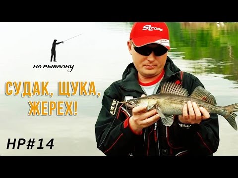 Видео: Судак на Drop shot, щука и жерех на Чебоксарке: #НР14