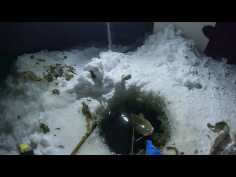 Видео: ОТЛИЧНЫЙ УЛОВ | ПРОВЕРКА ПЕРЕМЕТА 13.11.2025