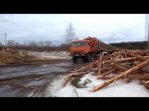 Видео: Работа на хлыстовозе. Весенняя вывозка леса по болотам в Архангельской области.