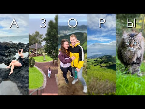 Видео: Исполнили мечту: на АЗОРЫ с кошкой!
