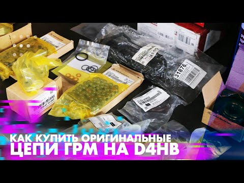Видео: Цепь грм D4HB