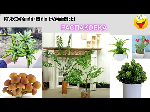 Видео: Искусственные растения для декора. AliExpress.