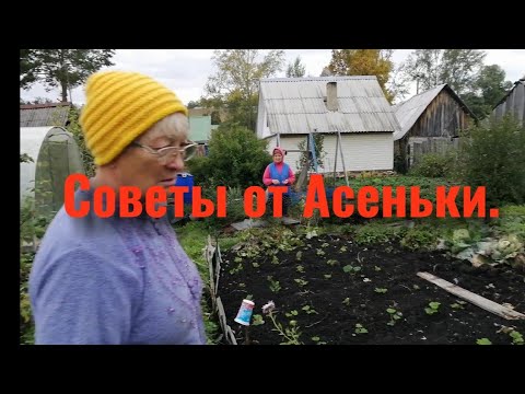 Видео: Мария купила новый диван. В гостях у Асеньки. Деревенские бабушки.