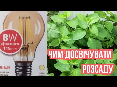 Видео: Лампи для досвічування рослин|Про що мовчать продавці
