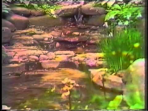 Видео: Природа суперэтноса. Турецкий этногенез.avi