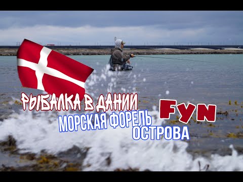 Видео: Рыболовные путешествия.Нахлыст.Морская рыбалка в Дании. Морская форель острова Fyn.