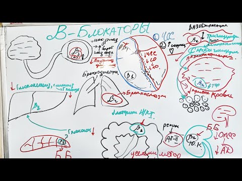 Видео: ФАРМАКОЛОГИЯ БЕТА БЛОКАТОРОВ!       механизм действия, показания, побочные эффекты