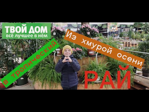 Видео: Это нужно увидеть👀Твой дом🍁Из хмурой осени в тропический  рай 🌴#обзормагазина #обзор #твойдом