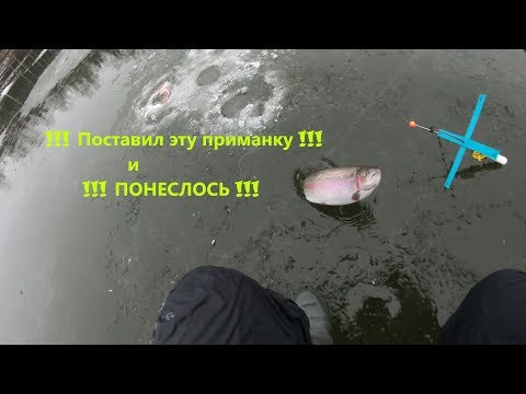 Видео: Рыбалка на ФОРЕЛЬ !!! ПЕРВЫЙ ЛЕД !!! Поставушка на ФОРЕЛЬ МОНТАЖ