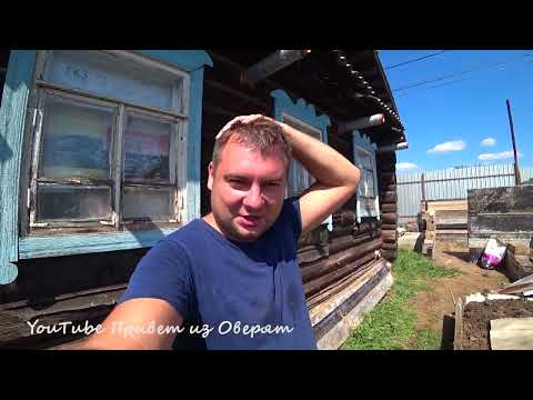 Видео: Алабай сбежал / Строю говнобункер