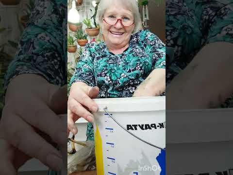 Видео: Лотос на балконе..