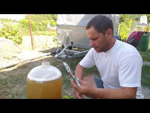 Видео: медовуха