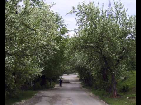 Видео: про город дегтярск.wmv
