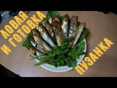 Видео: СНАСТЬ НА ПУЗАНКА:КОПТИМ УЛОВ.САМОДЕЛЬНАЯ КОПТИЛКА!