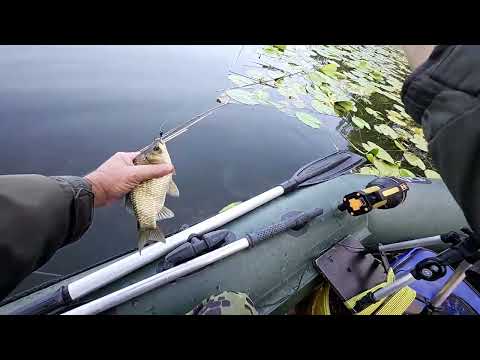 Видео: Південний Буг. Боковий кивок. Нова локація.