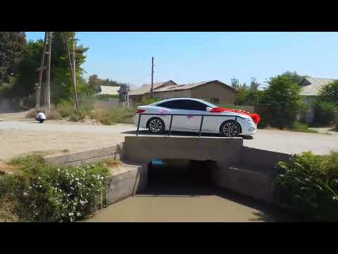 Видео: 14 августа 2025 г.