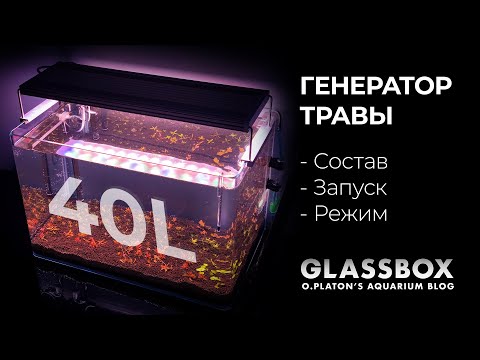 Видео: Аквариум "Генератор травы" - Состав/Запуск/Режим
