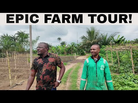 Видео: Как мы посетили крупнейшую сельскохозяйственную ферму в штате Абия, Нигерия.