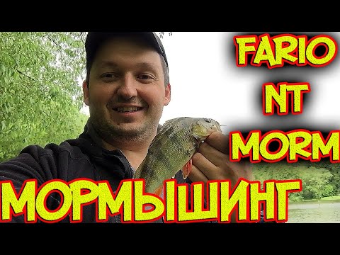 Видео: Мормышинг. Жирная Плотва и Хороший Окунь Бонусом! Fario NT Morm S.