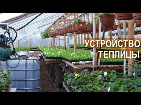 Видео: Устройство теплицы для выращивания цветов. Цветочный бизнес Кайгородцевых.