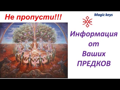 Видео: Мощный 🔥ПОТОК✨ информации от Ваших предков☀ 🌳☀