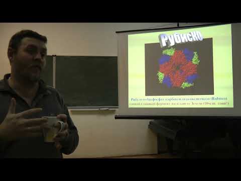 Видео: Физиология растений. Часть 2. Чуб В.В. 08.11.2014 edit