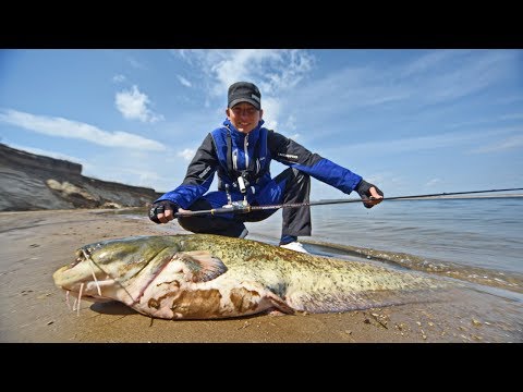 Видео: Спиннинг для смелых неожиданностей. Обзор EverGreen Squidlaw Imperial NIMS-75MH