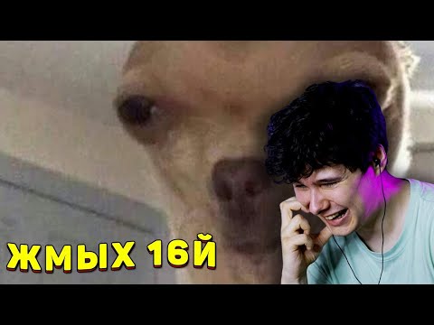 Видео: ТЕСТ НА ПСИХИКУ ЧЕЛЕНДЖ l 434 СЕКУНД СМЕХА l ЗАСМЕЯЛСЯ ПРОИГРАЛ