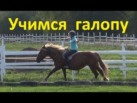 Видео: Когда "пора" переходить на галоп? Учимся ездить на лошади.