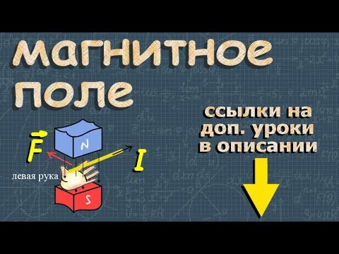 Видео: МАГНИТНОЕ ПОЛЕ #физика