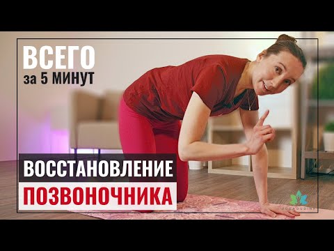 Видео: Практика для Восстановления и питания Межпозвонковых Дисков (1-е видео)