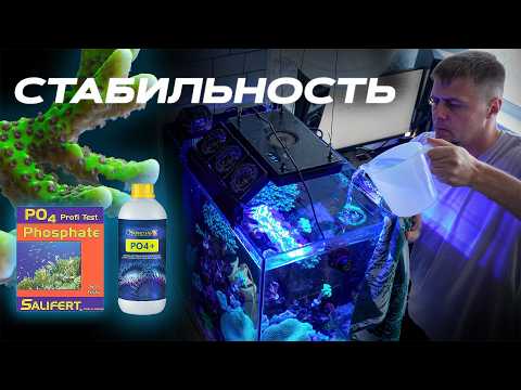 Видео: Морской аквариум стабильность