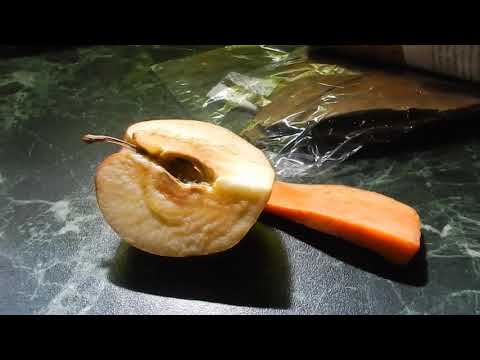 Видео: Чем кормить креветок? 1.