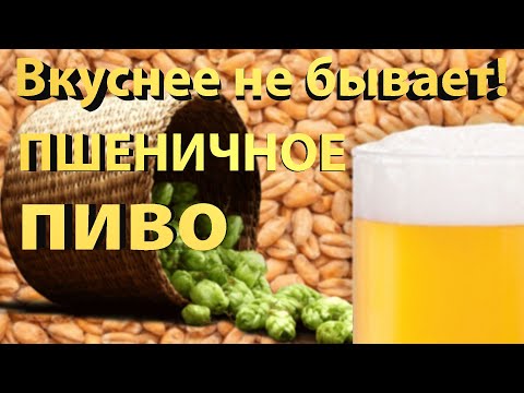 Видео: ✅ Самая вкусная ПШЕНИЧКА! Домашнее Пшеничное пиво.