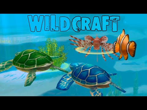 Видео: Прокачиваем ЧЕРЕПАШЕК в мире океана🐢🐢🐢 WildCraft