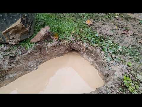 Видео: Разведочный глиномес в Калужской области | будни абиссинщика